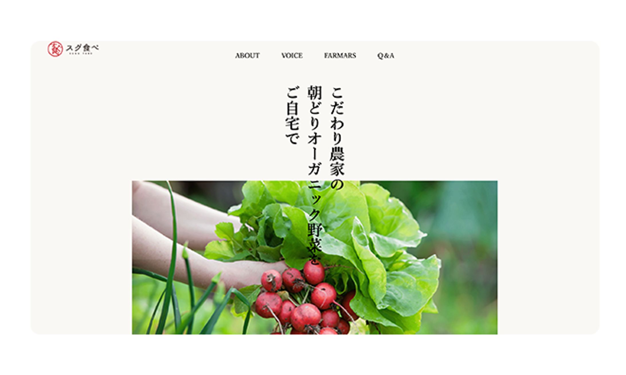 LP制作｜スグ食べ（宅配野菜）-1