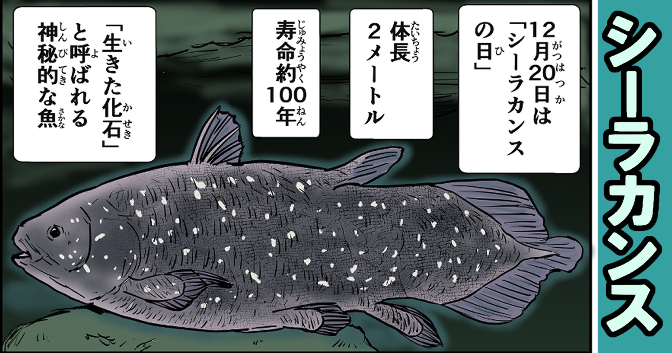 シーラカンス｜1ページ完結カラー漫画-1