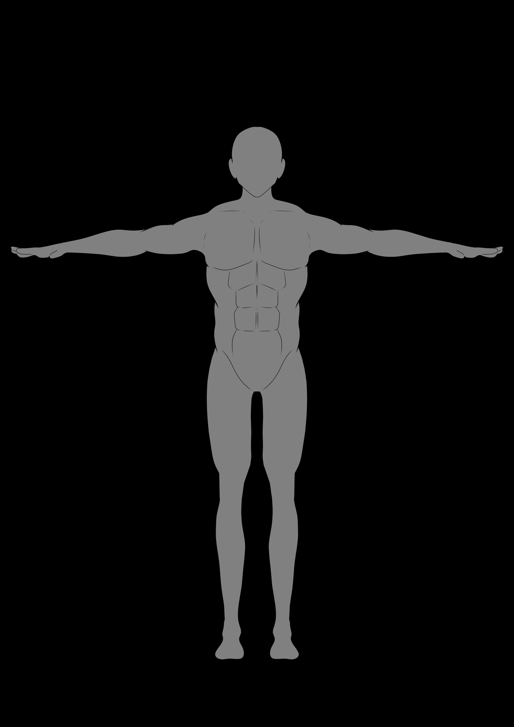 体形　男性 キャラクターデザインシート　2D-1