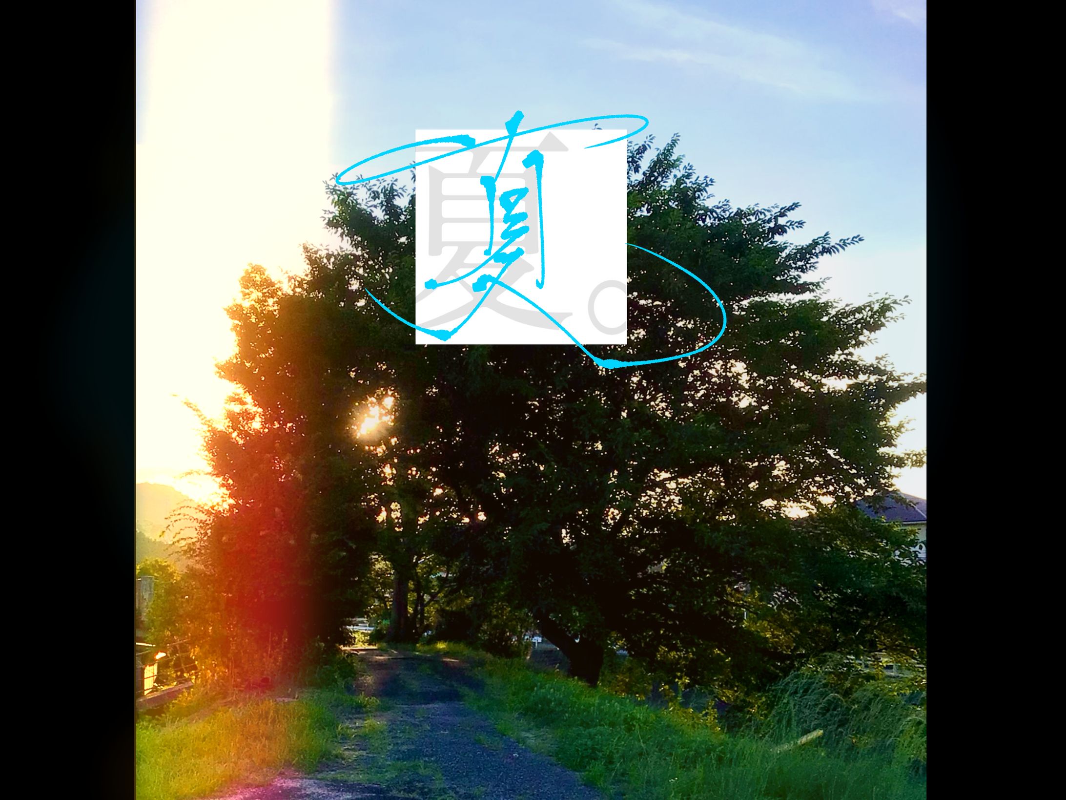 夏-1