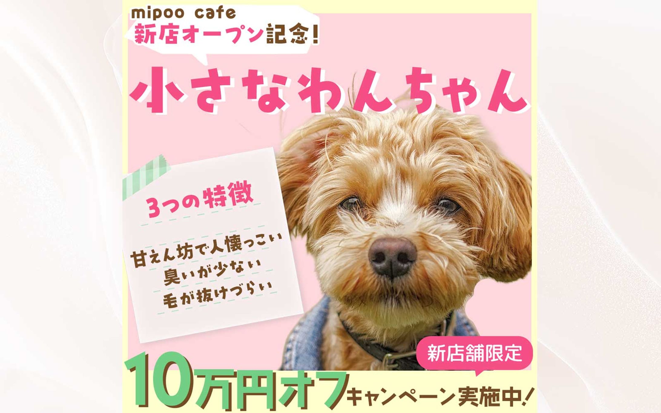 バナー：動物カフェ-1