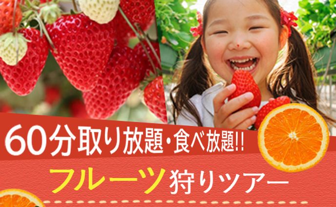 フルーツ狩りバナー