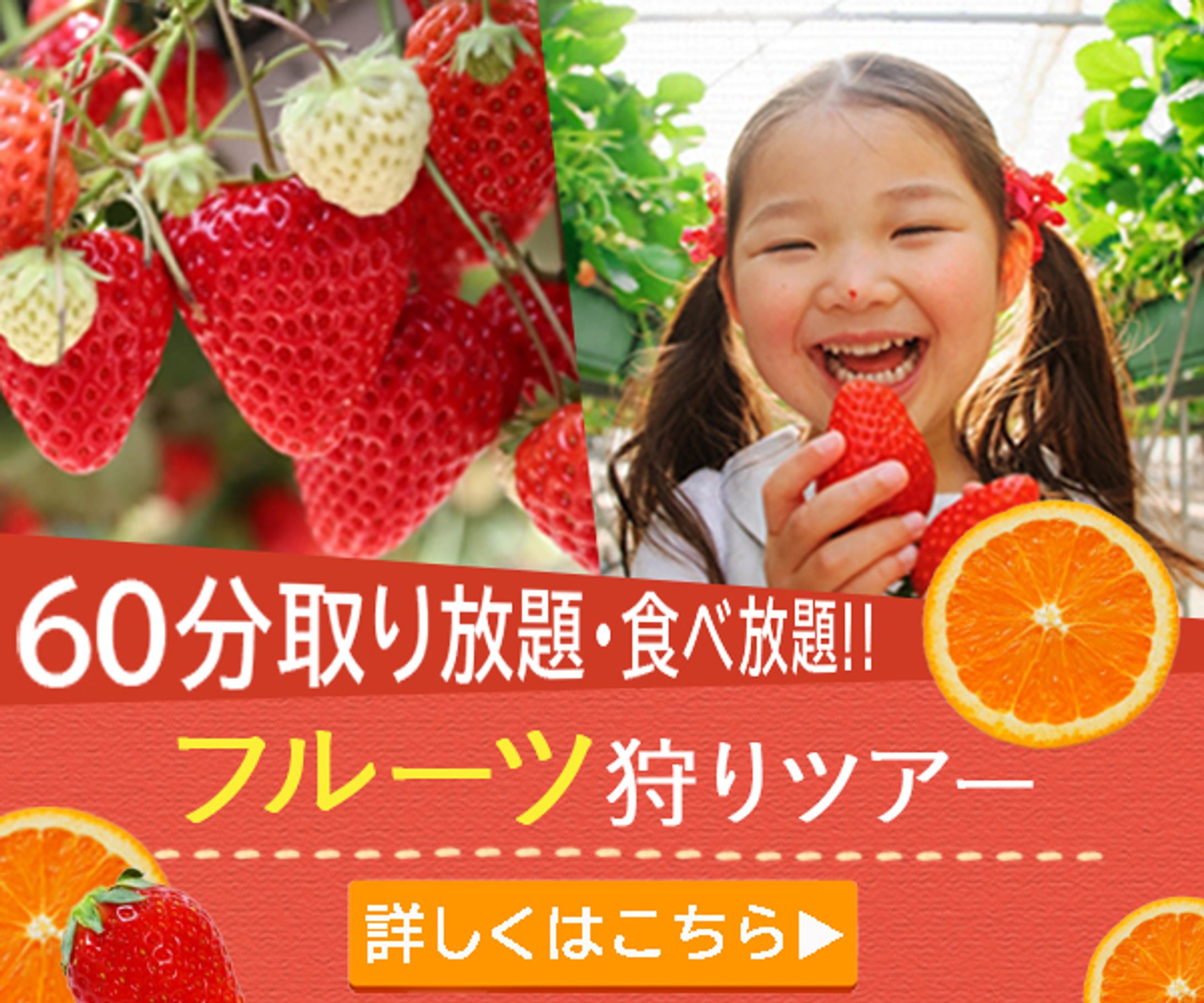 フルーツ狩りバナー-1
