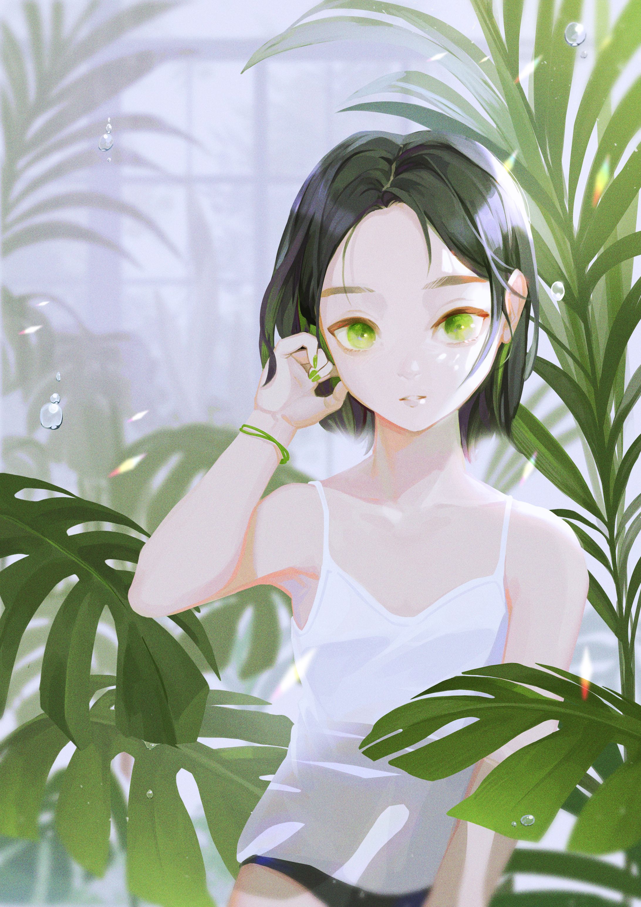 観葉植物-1