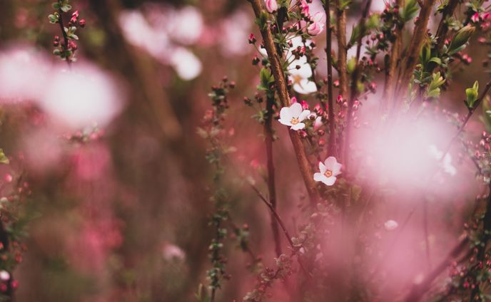 花