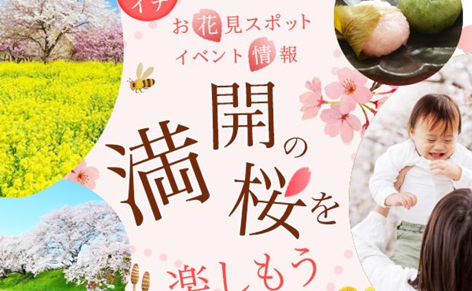 バナー：イベント