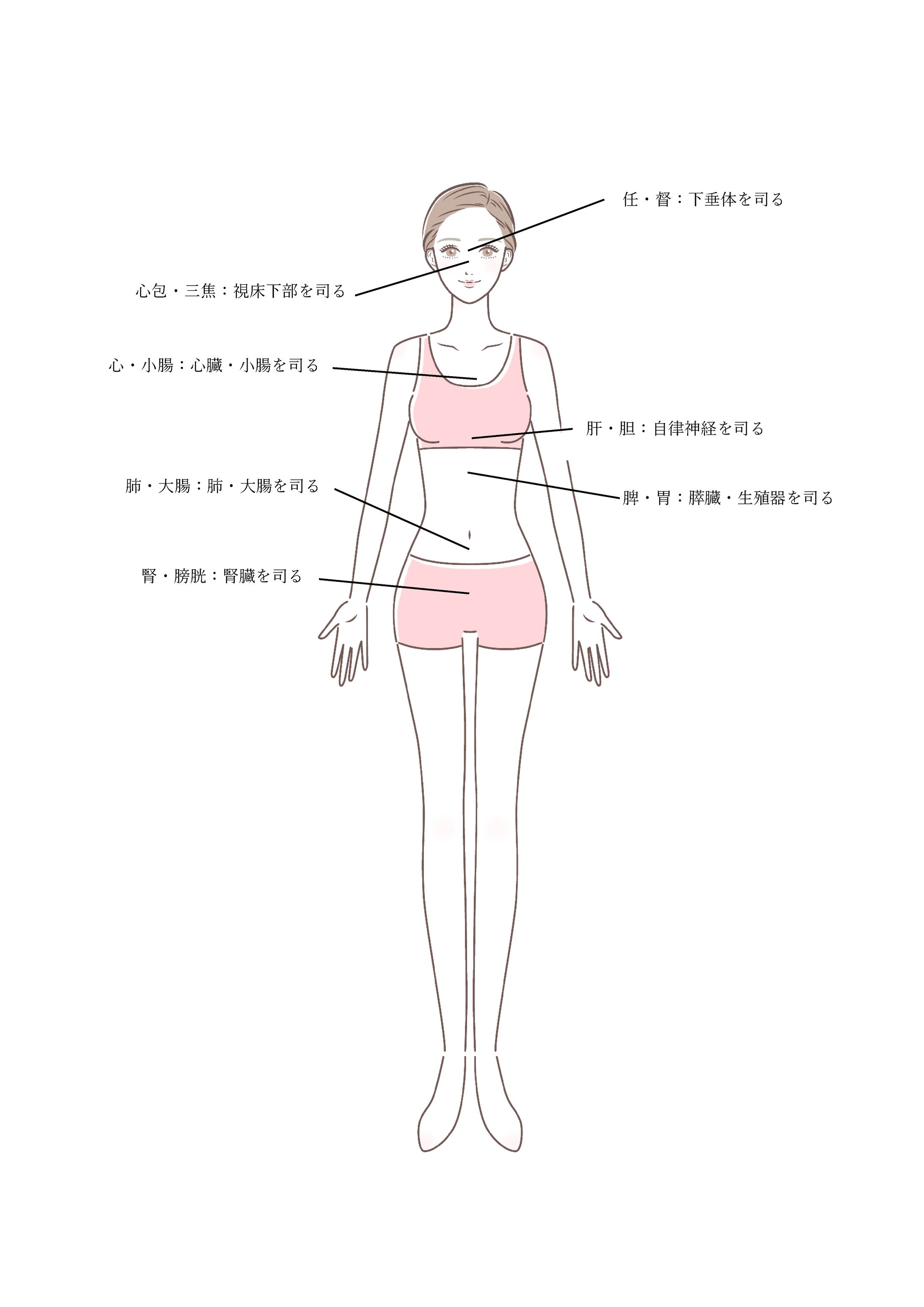 経絡と臓腑の関係-1