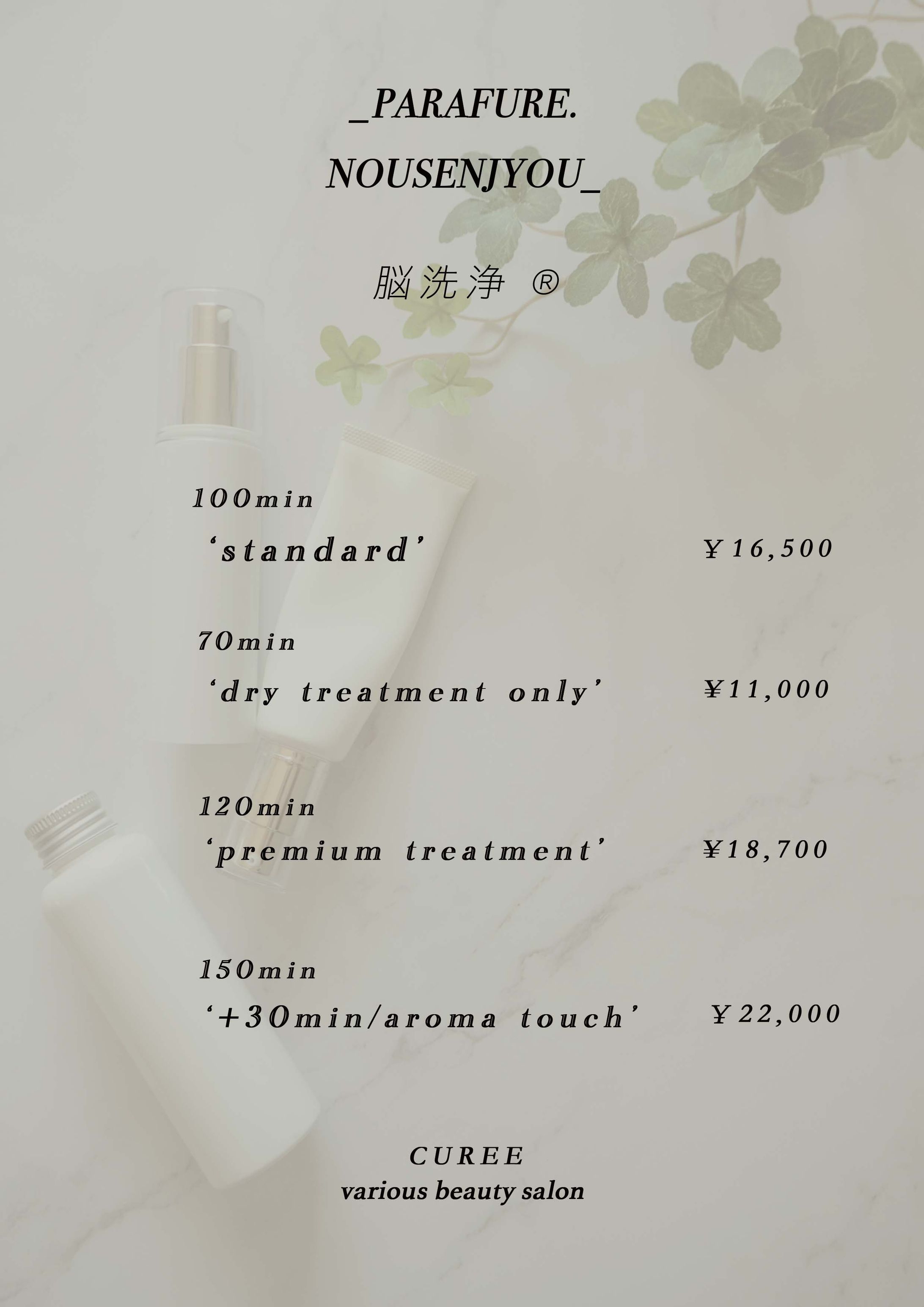 エステサロンメニュー表-1