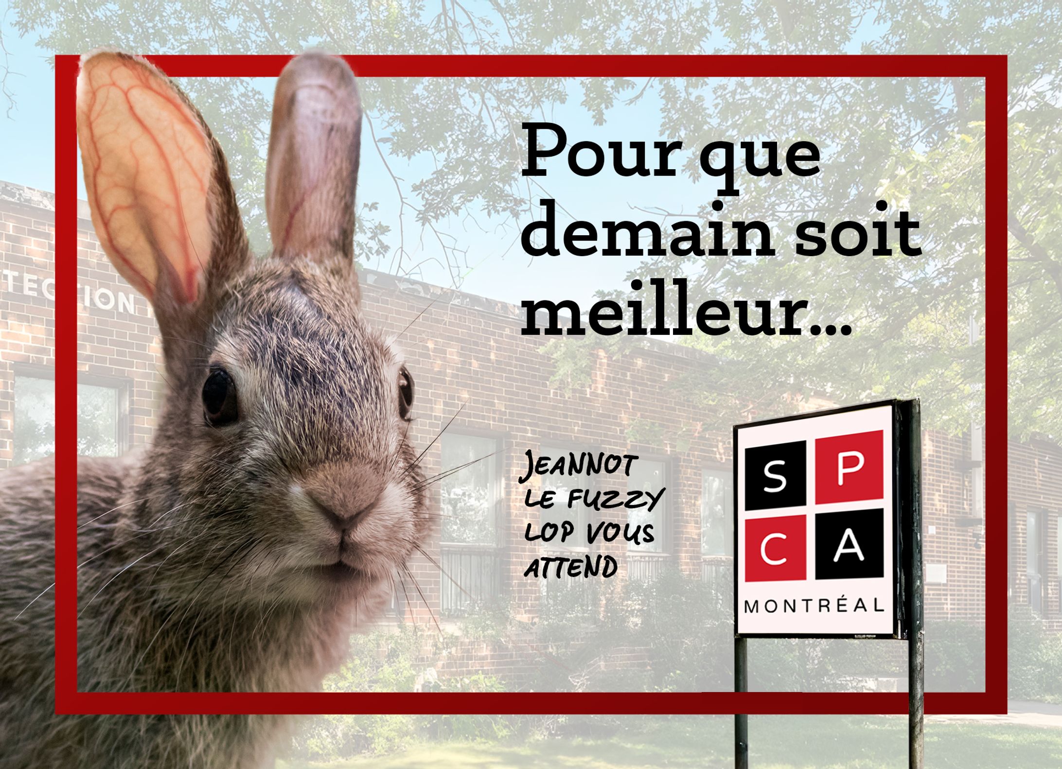 C08｜Carte postal : SPCA-1