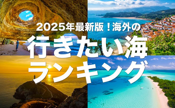 旅行系（ランキング）