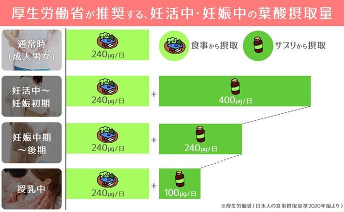 美容医療系・インフォグラフィック制作