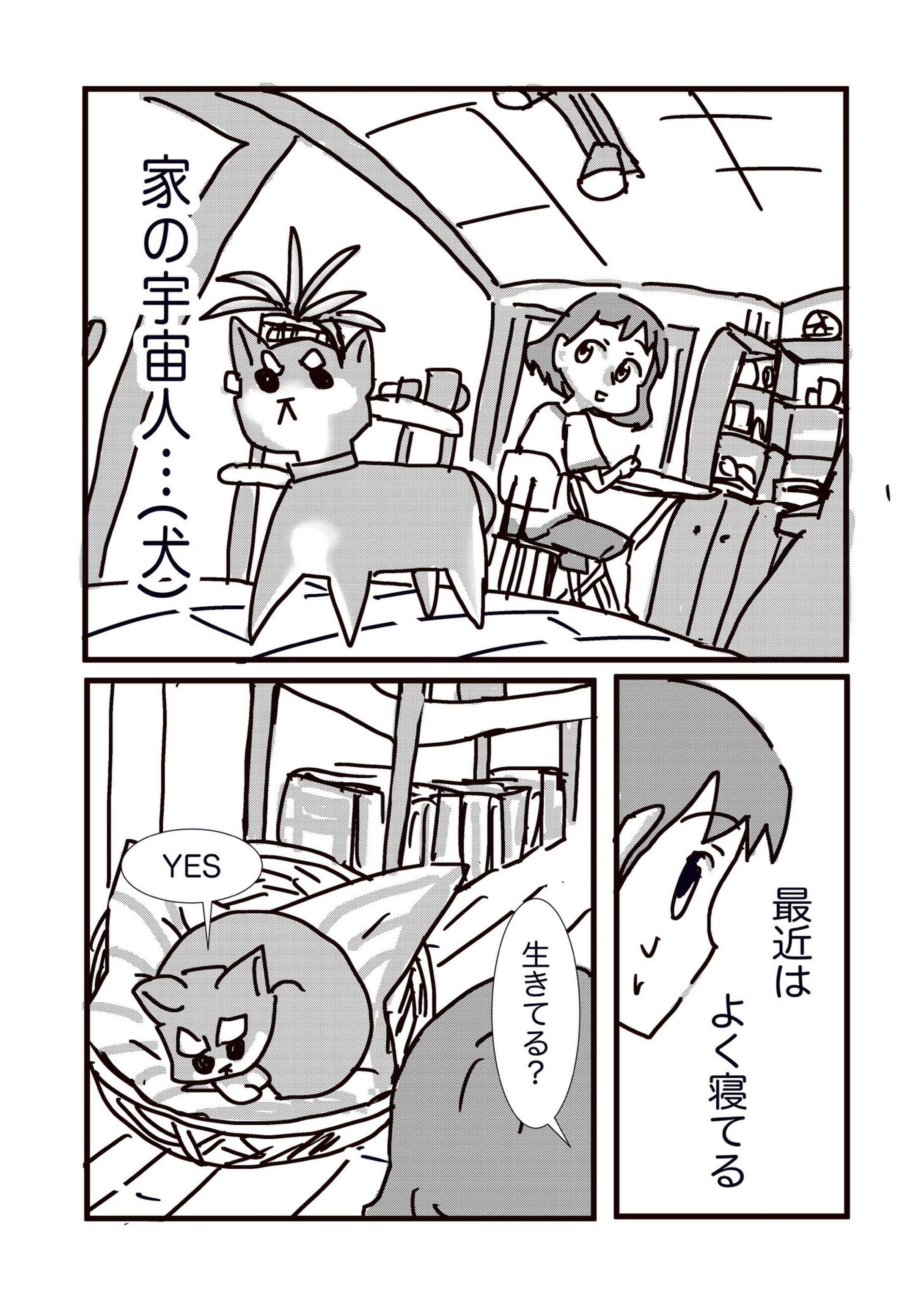 blog idea-1