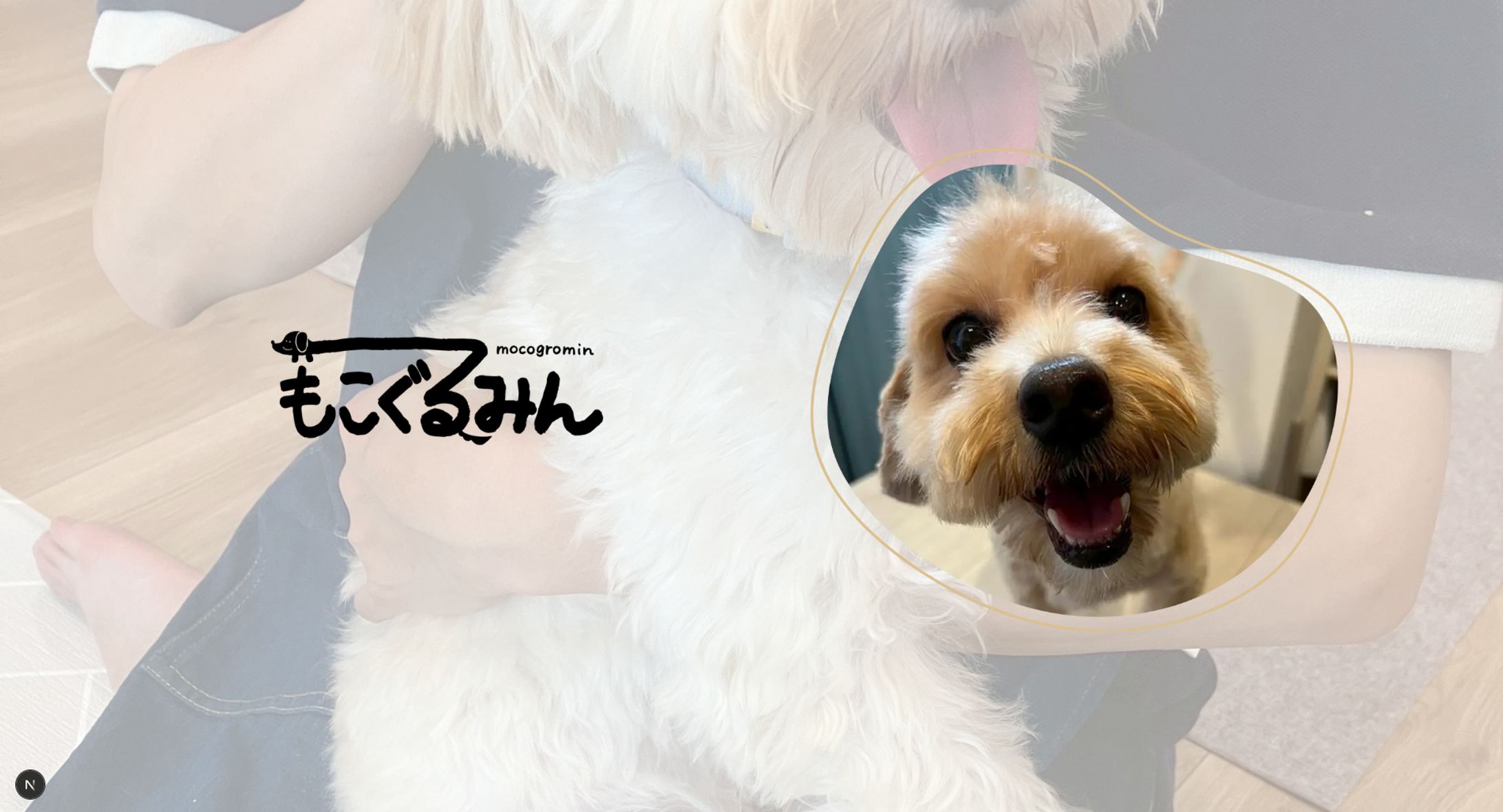 もこぐるみん HP-1