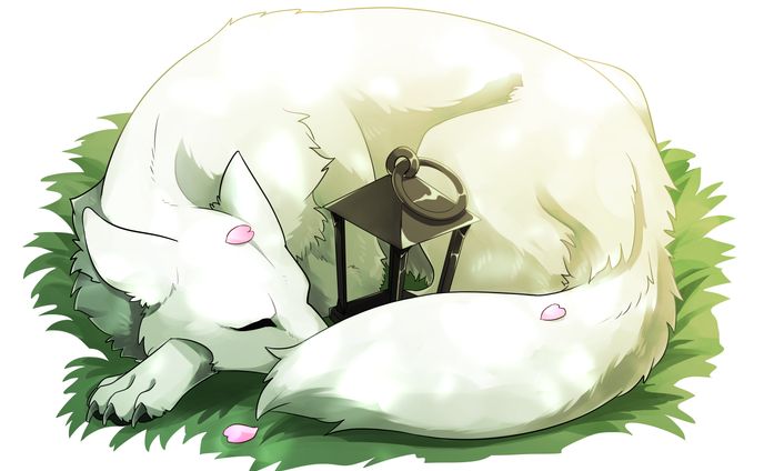 灯狼