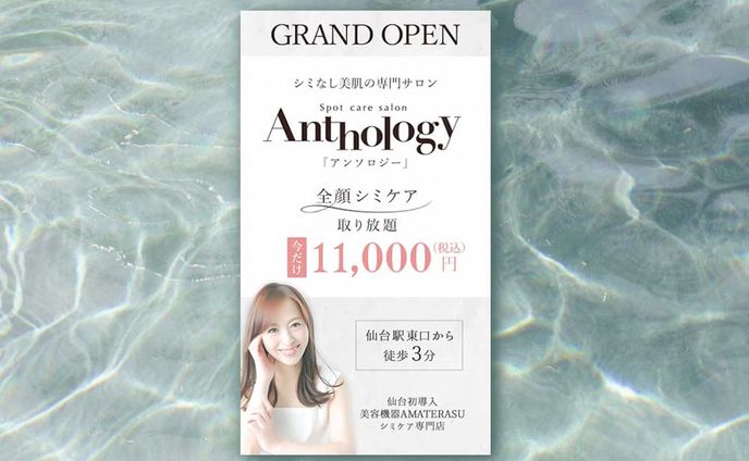 【実績】シミケア専門店バナー