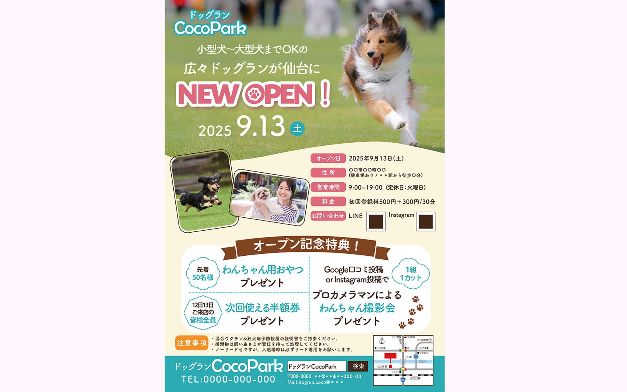【チラシ】ドッグランオープン-1