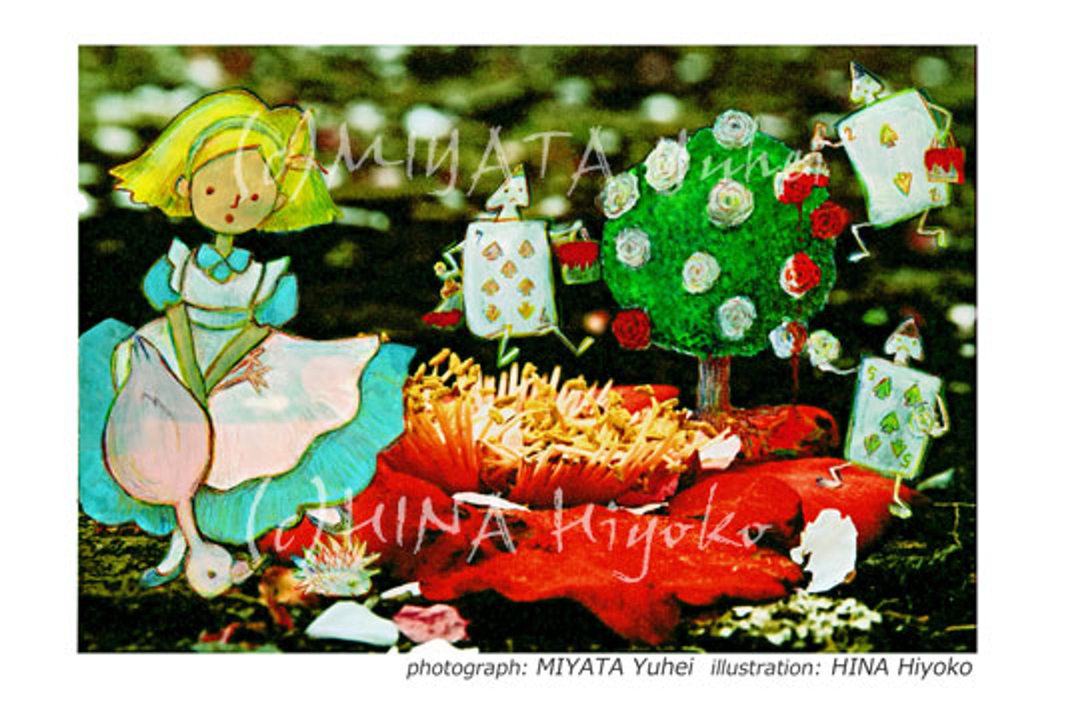 2013年5月：展示『フォトレーション展』（Gallery DAZZLE・北青山）-1