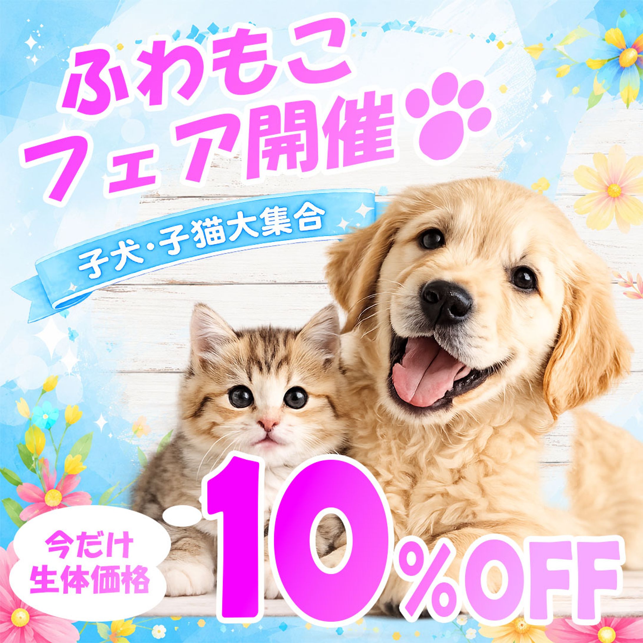 ふわもこフェア開催🐶-1