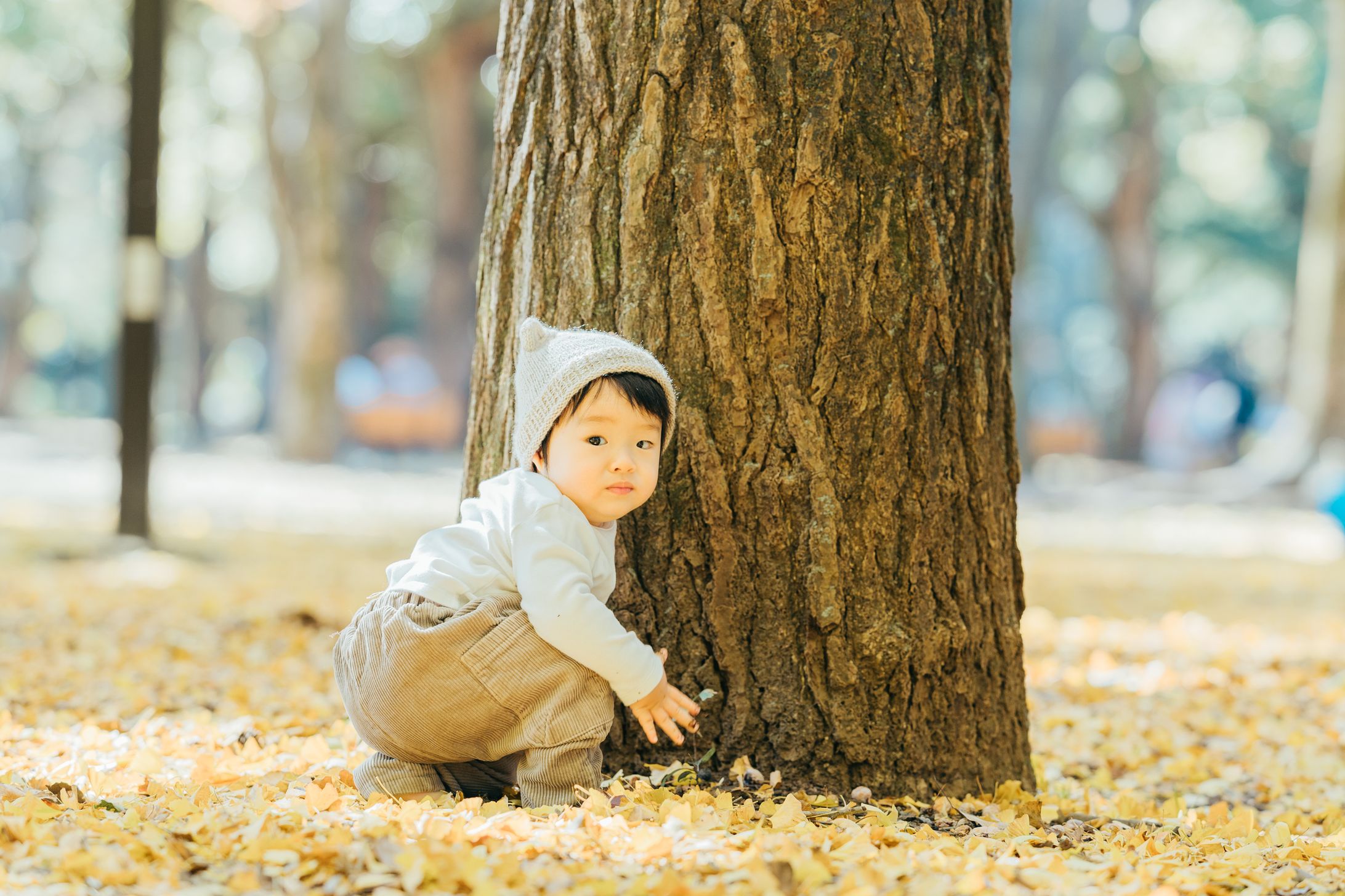 ファミリーフォト⑦-1