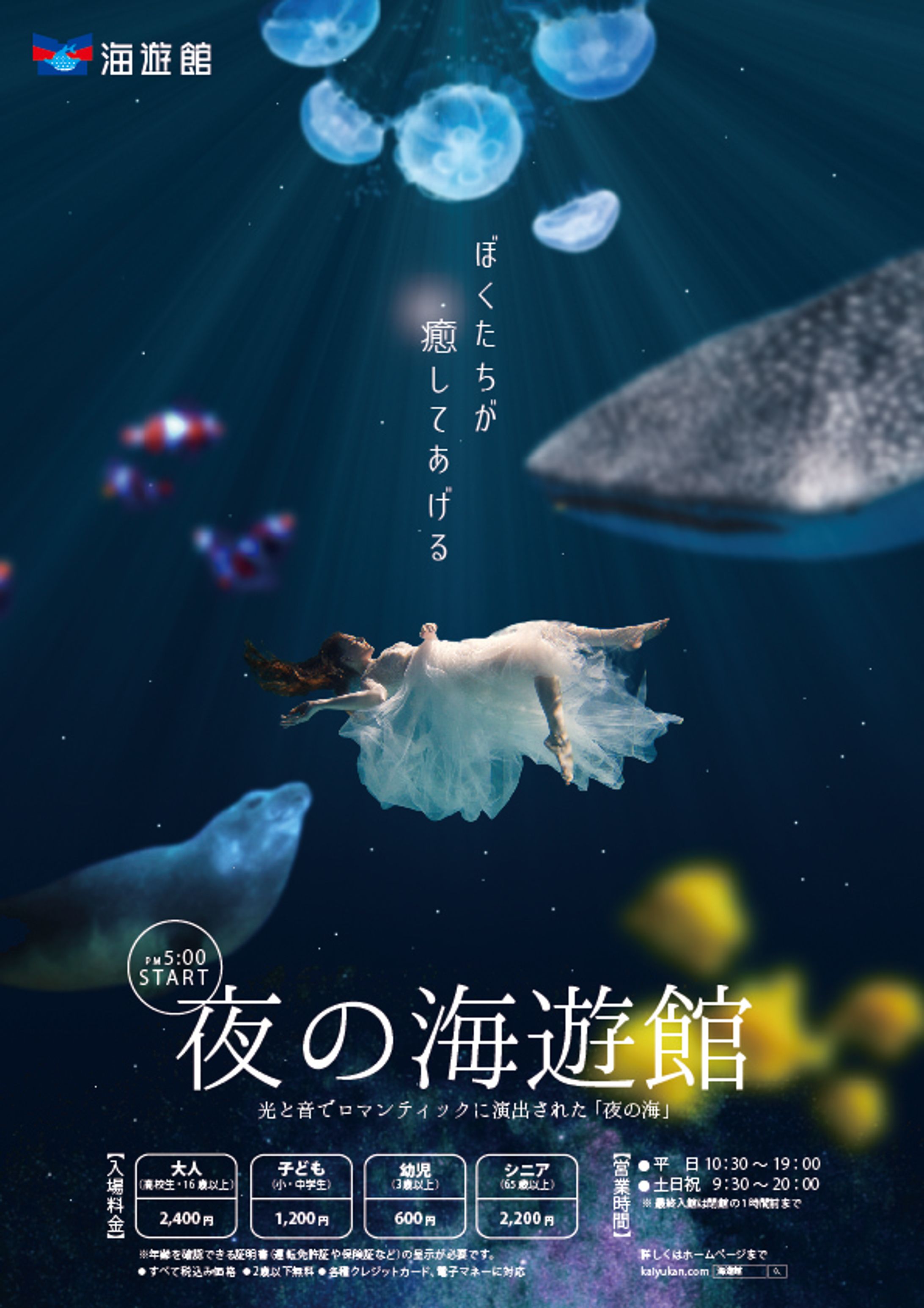 夜の海遊館チラシ-1