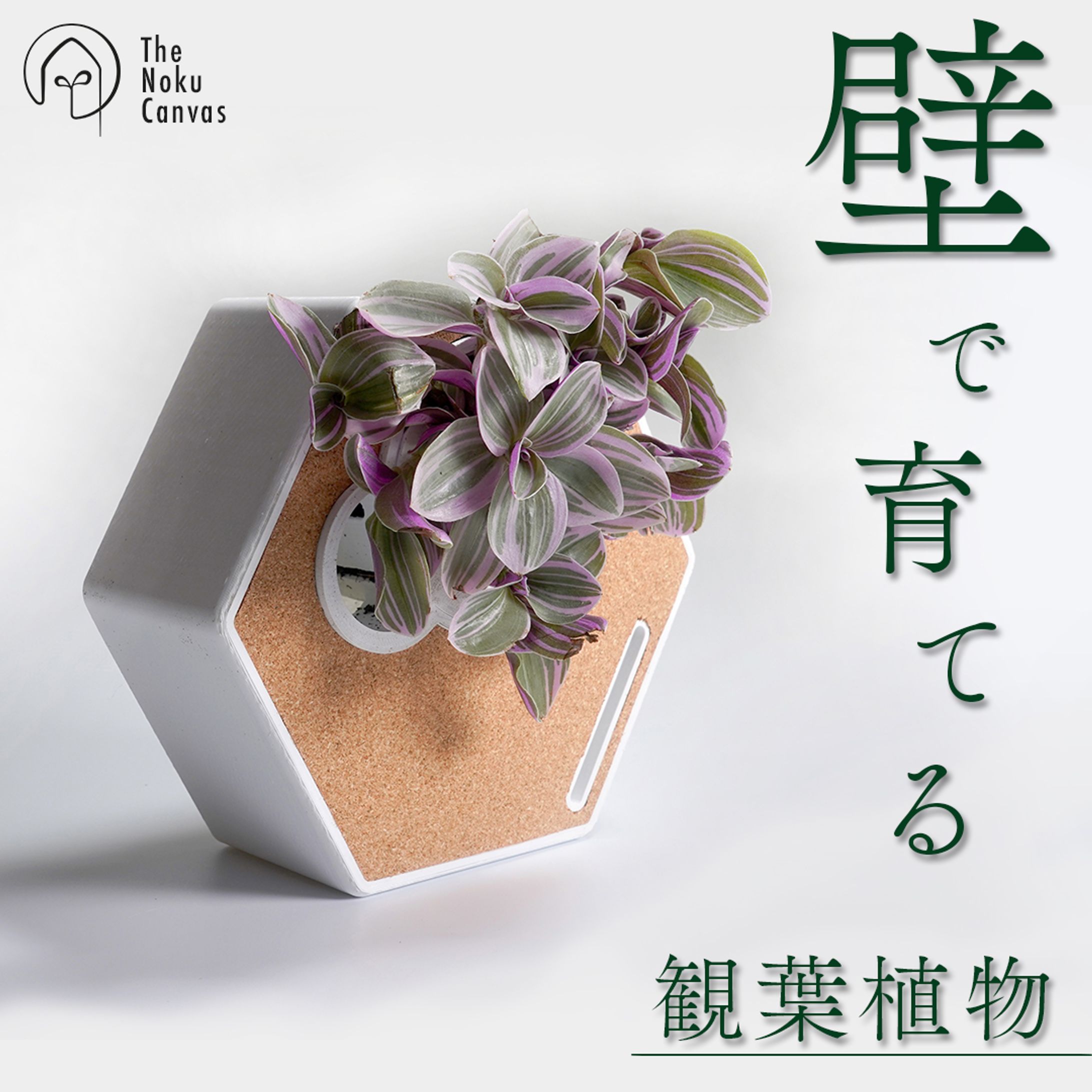 The Noku Canvas-1