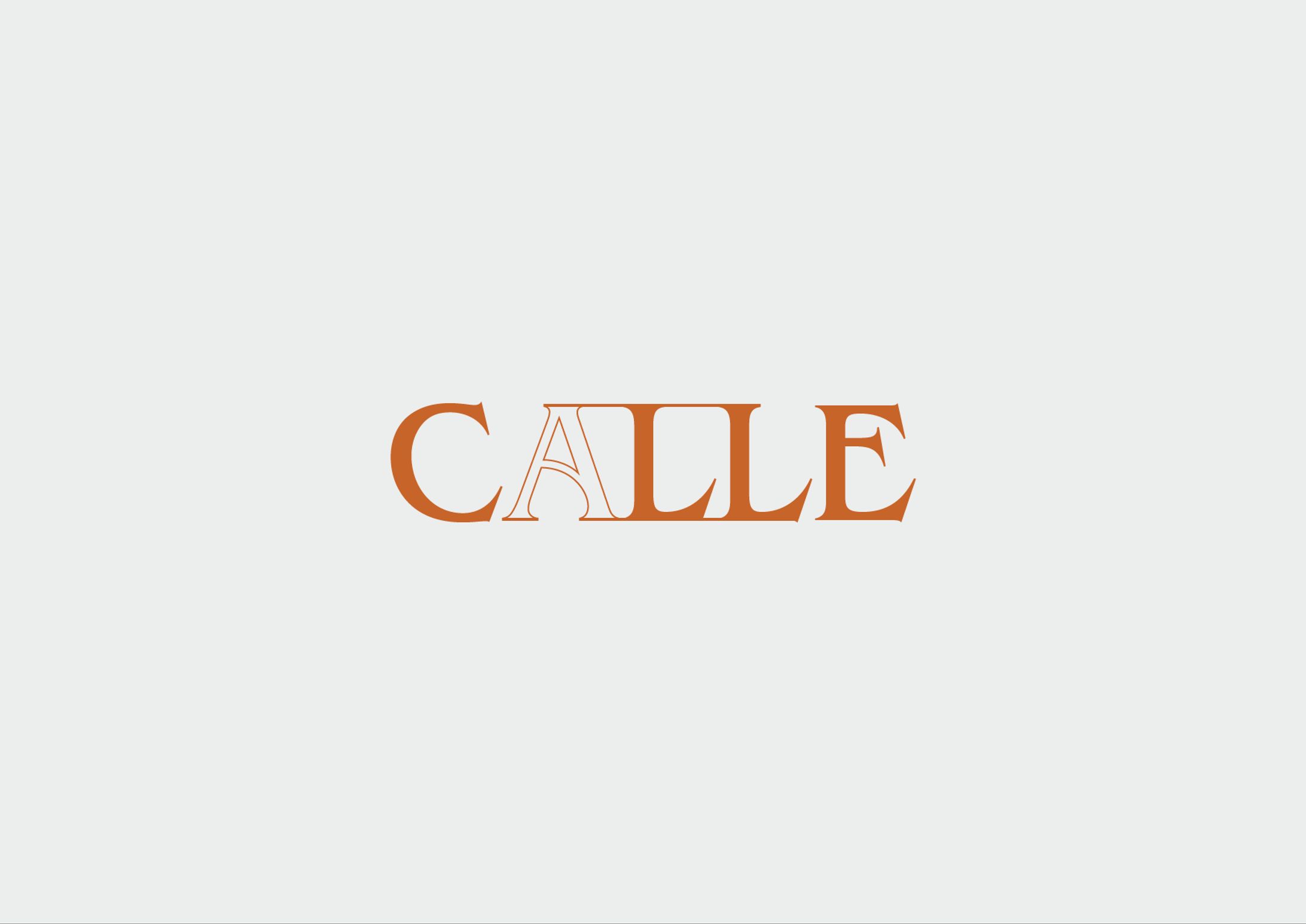 CALLE vol.plot0　タイトルロゴ-1