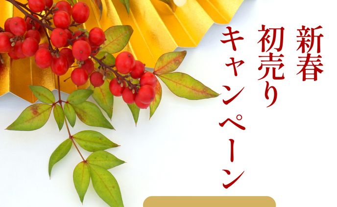 新春バナー
