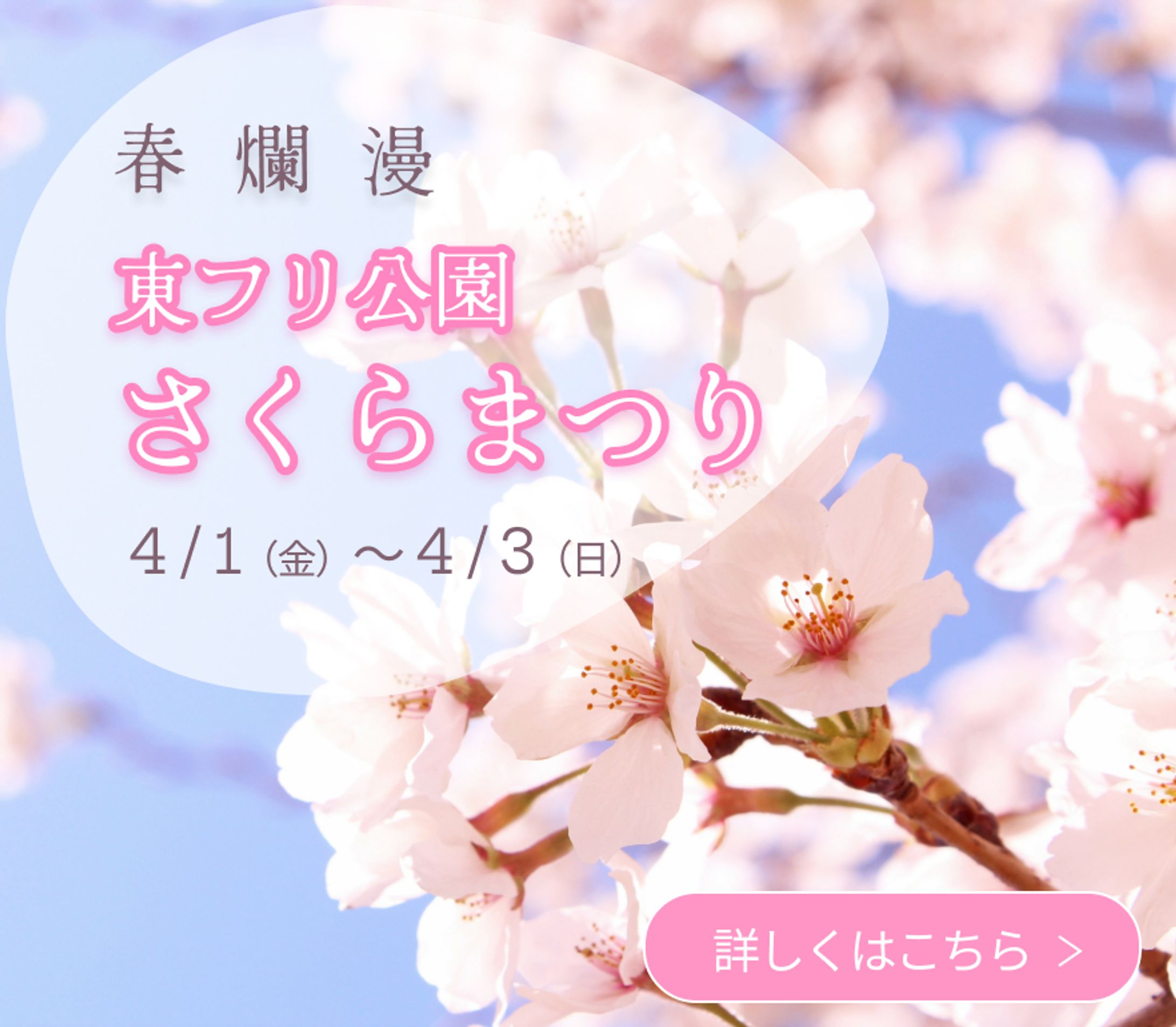 さくらまつりバナー-1
