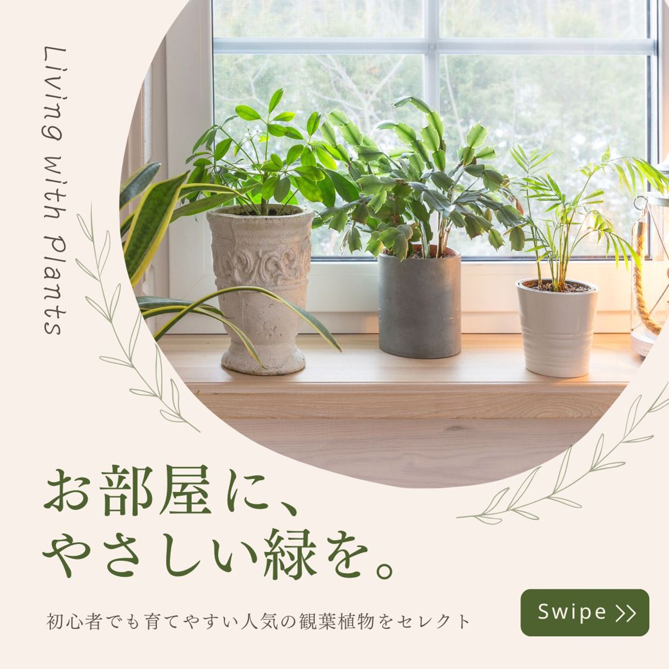観葉植物_特集画像（自主制作）-1