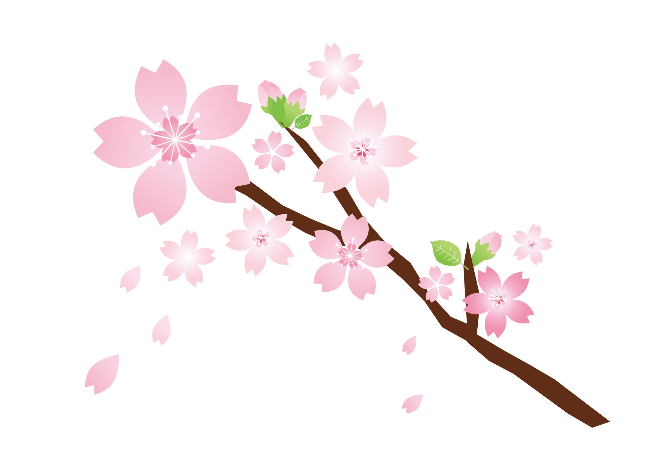 カットイラスト（植物）-1