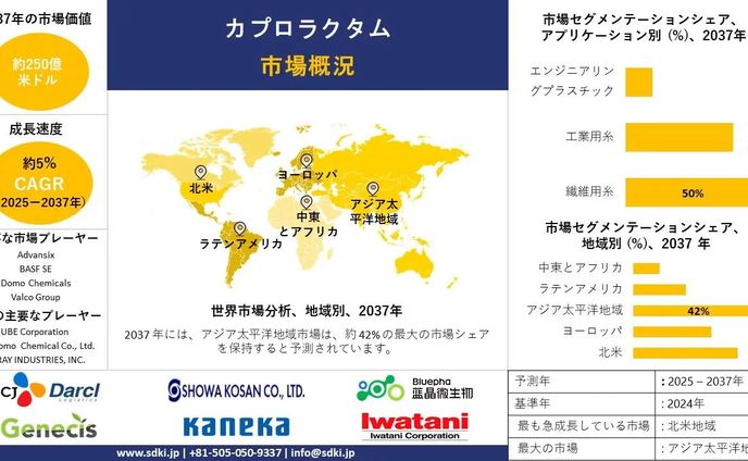 世界のカプロラクタム産業調査、洞察、サイズ、シェア、需要、成長、市場概観、動向レポート、トップメーカー、2025-2037年予測