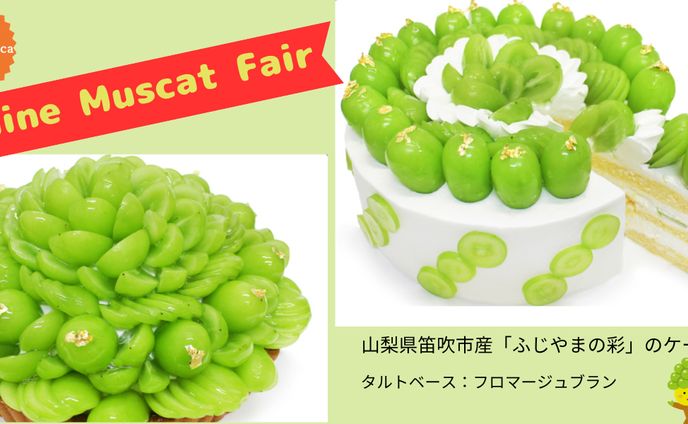カフェコムサ