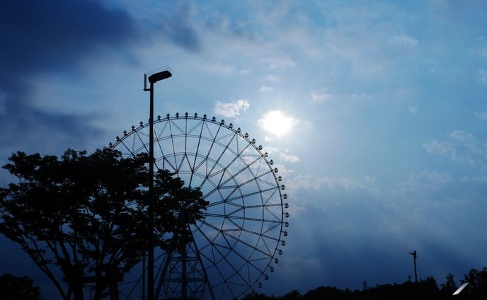 編集・ライター、版権
