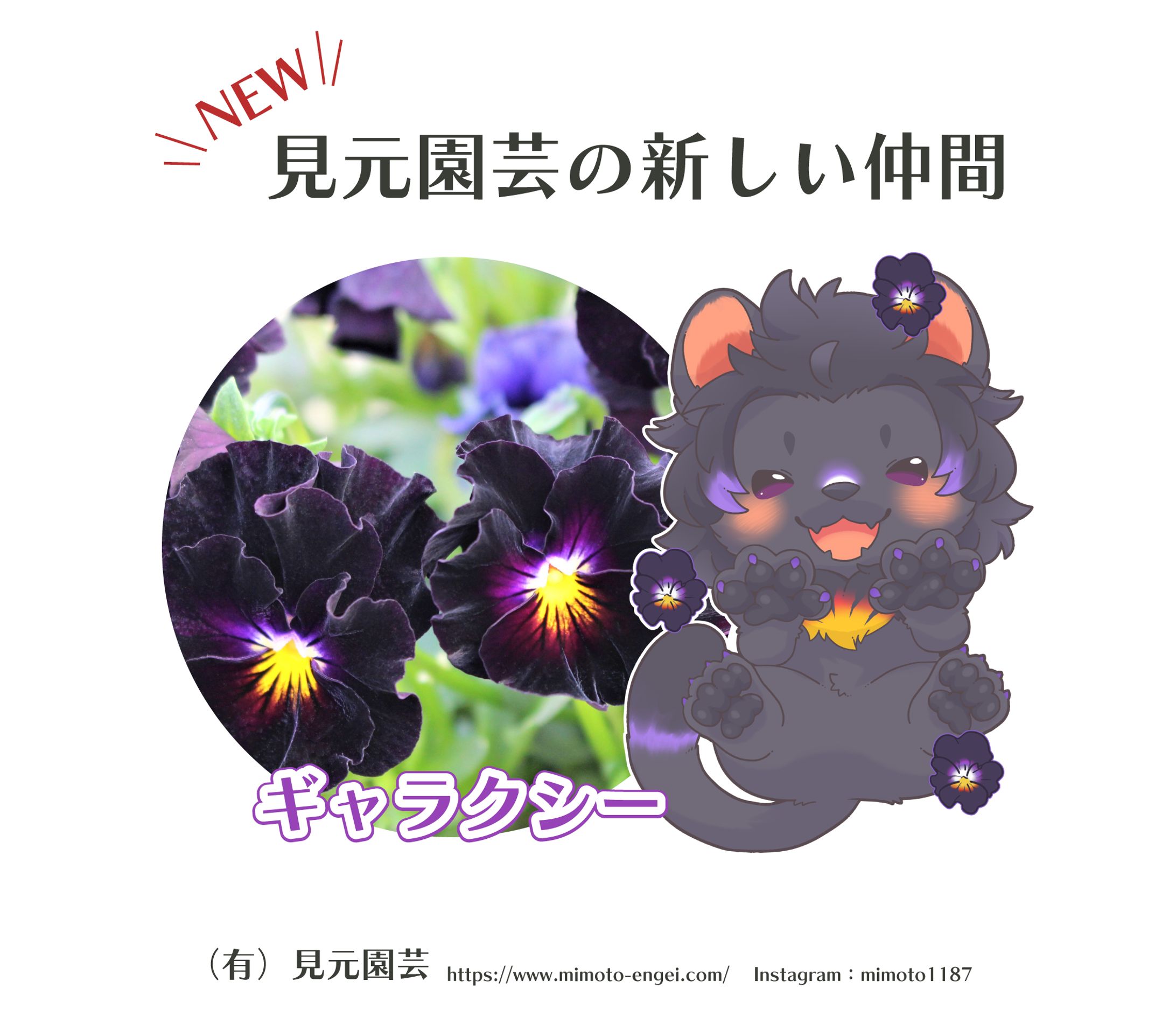 2021（有）見元園芸ラベルイラスト-1