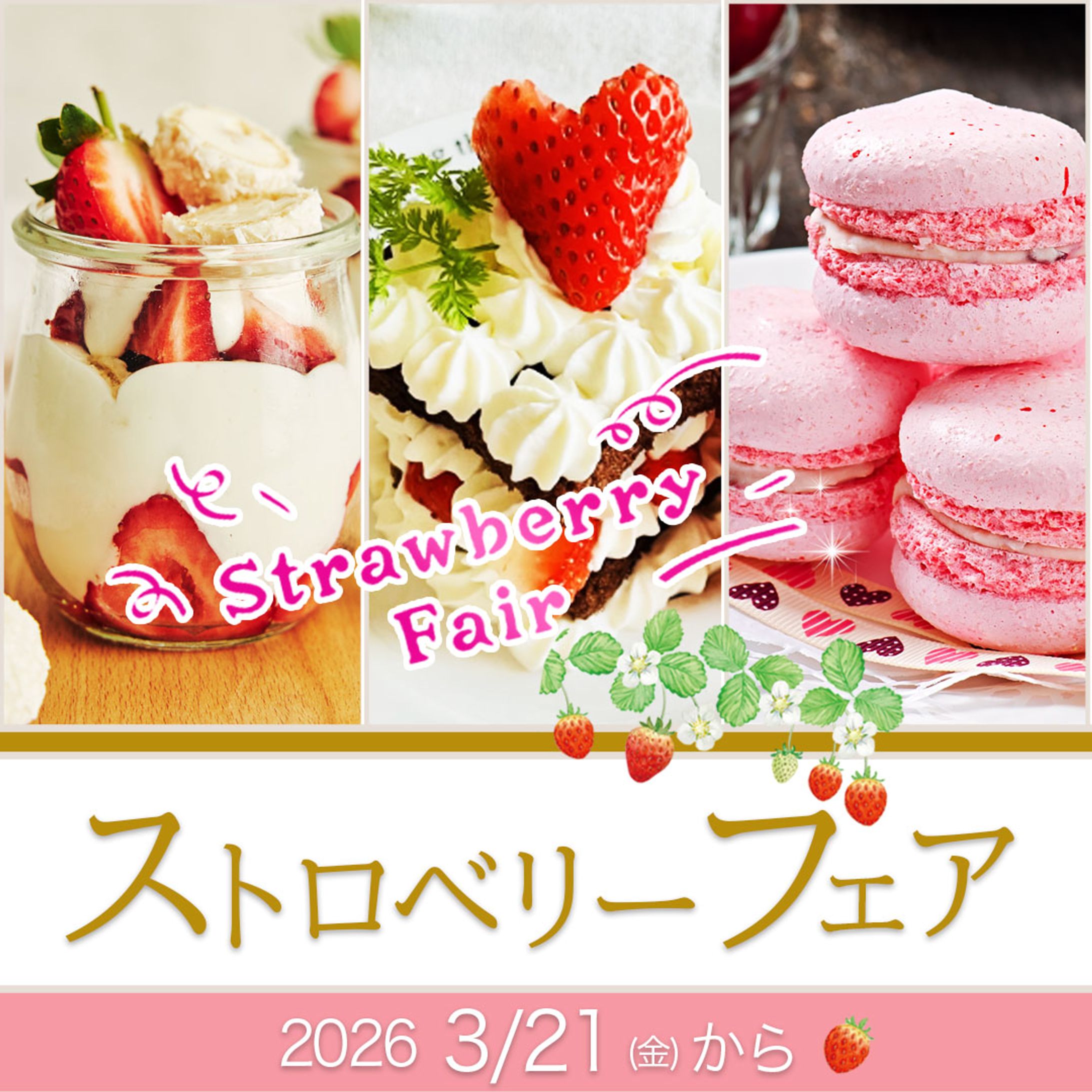 バナー：camel様 SNS広告バナー-1