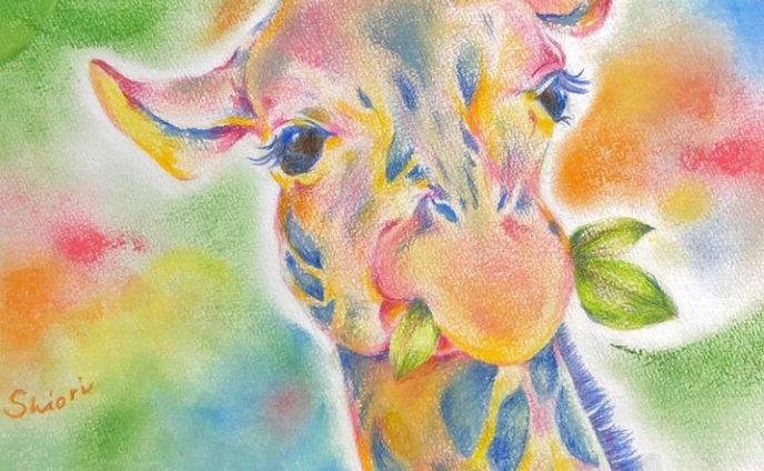 小物、同人誌表紙