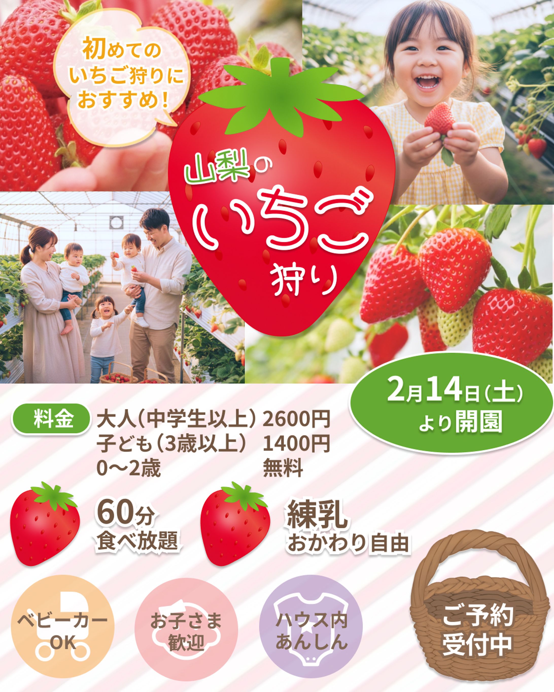 家族向けいちご狩りバナー-1