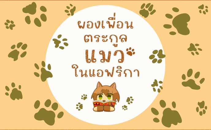 (タイ語) 10 Cats in Africa