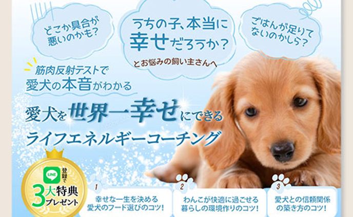 愛犬サポートLPファーストビュー