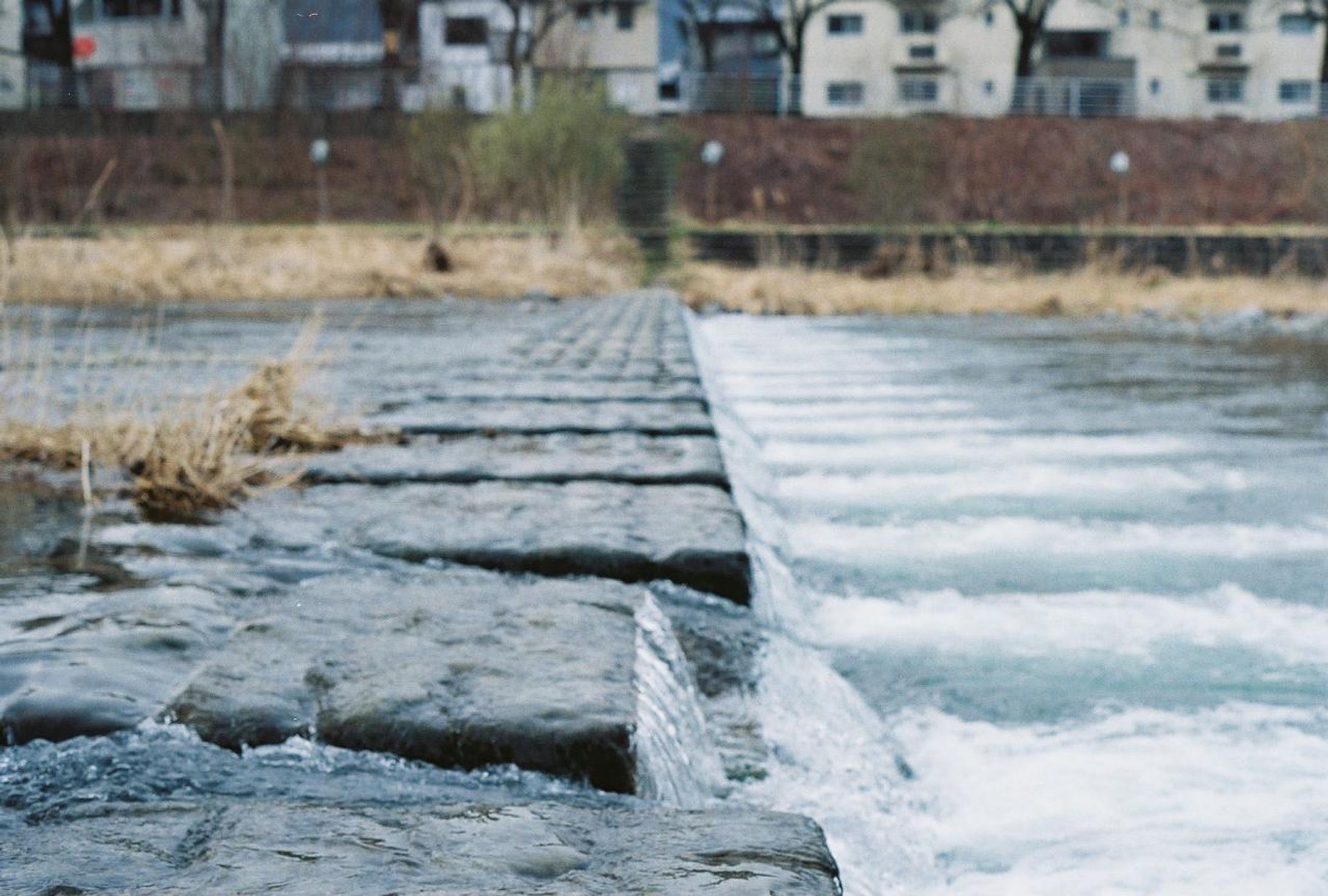 FCFD1FFB 48E5 4F5A 8200 97019C6BAC8C-1