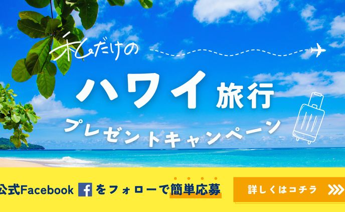 ハワイ旅行　バナー