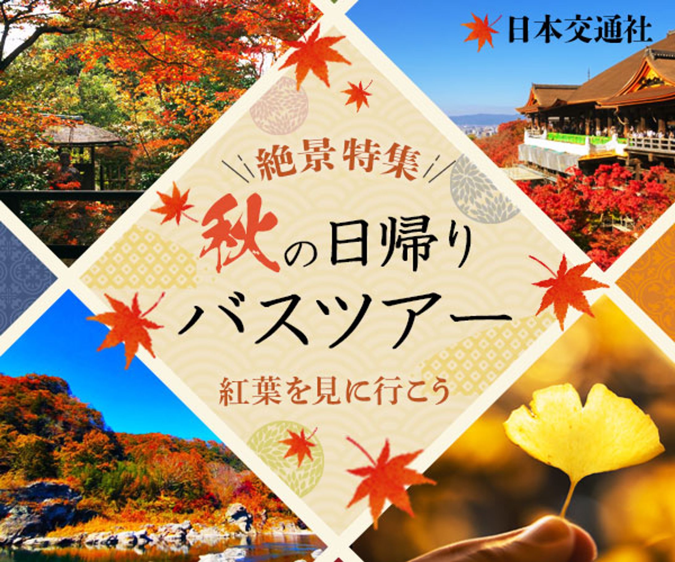 秋の日帰りバスツアー-1