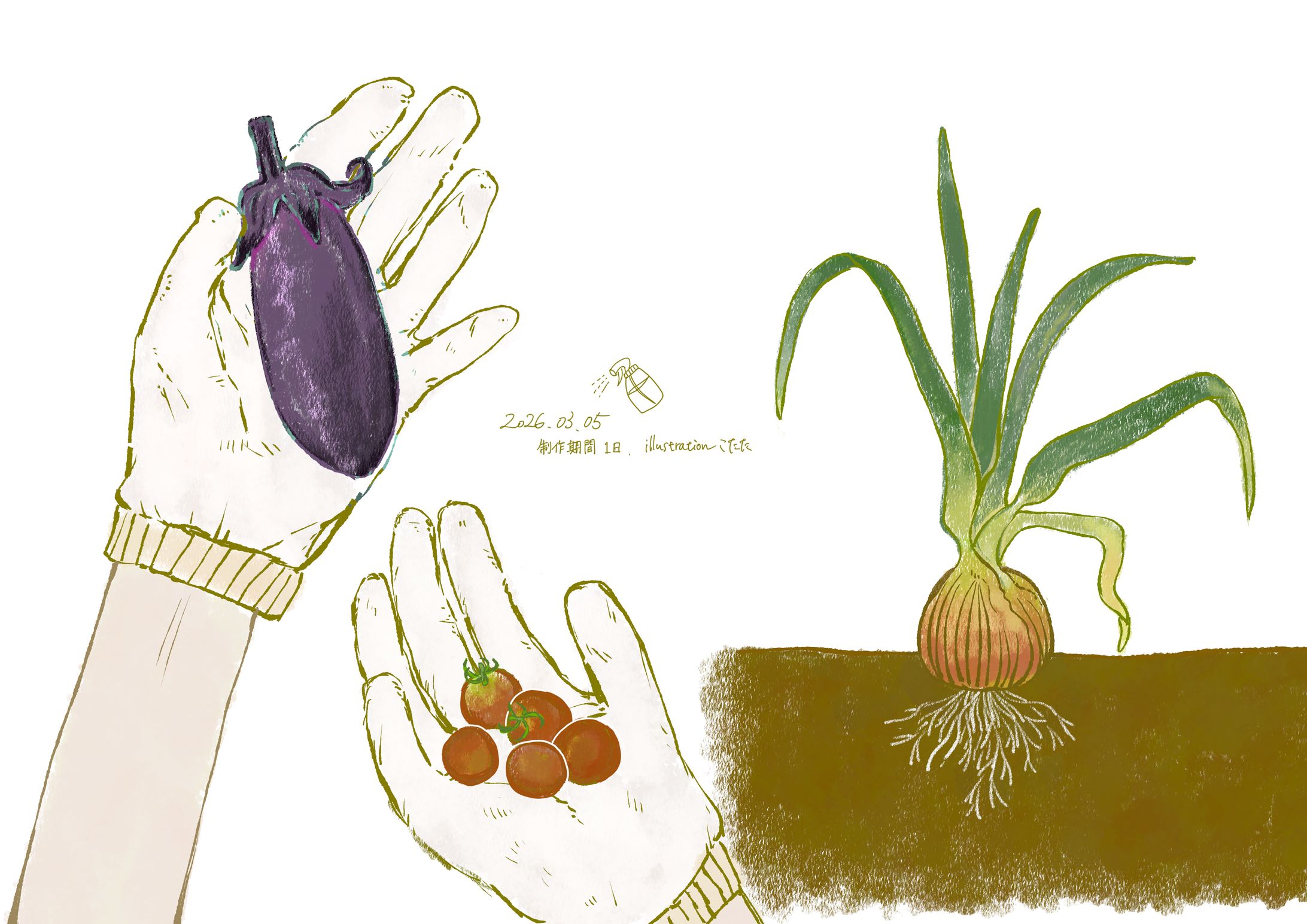 【暮らし・畑】野菜の収穫と断面図-1