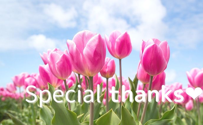 桃色のチューリップで【thank-you card】
