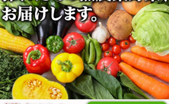 無農薬野菜の通販