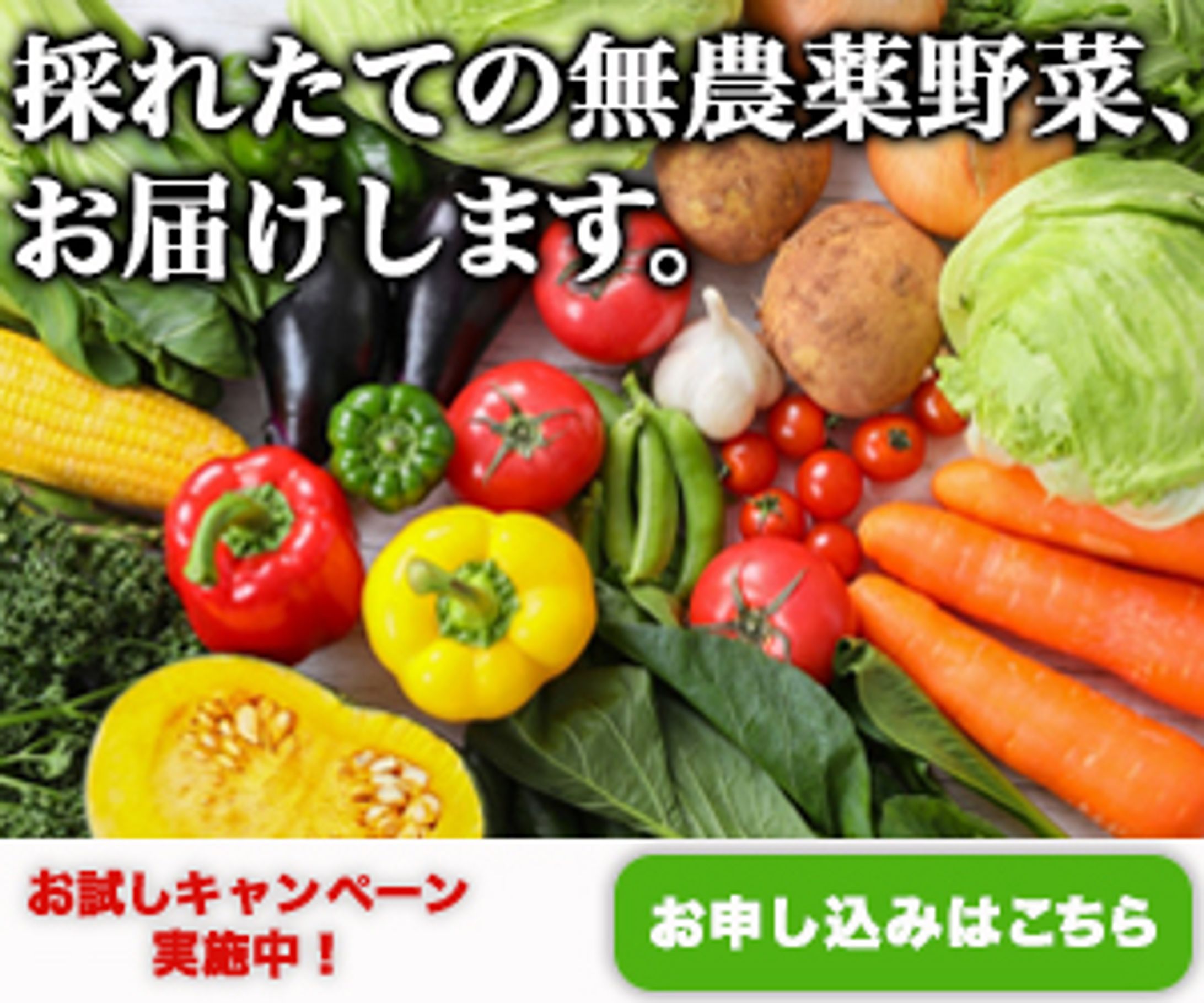 無農薬野菜の通販-1