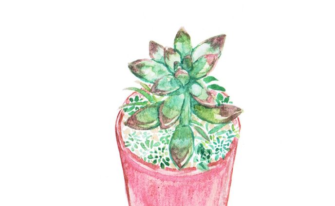 ダンス、植物