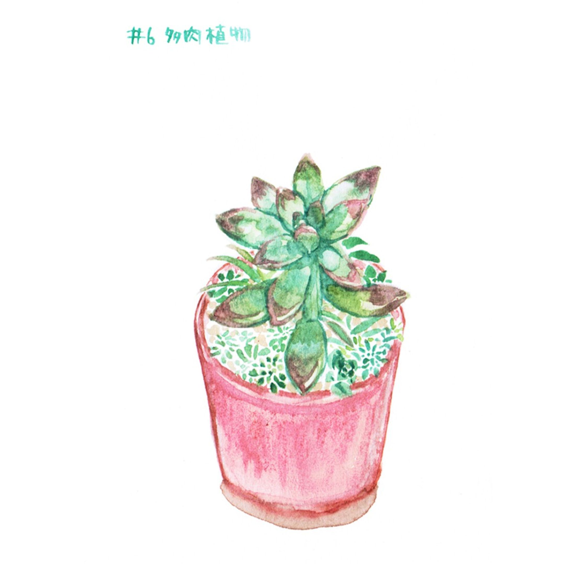 #06　多肉植物

#はせ子のグリーンスケッチ
#水彩画 #イラストレーション #イラストレーター #植物 #植物のある暮らし-1