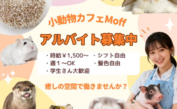 小動物カフェMoff　アルバイト募集バナー