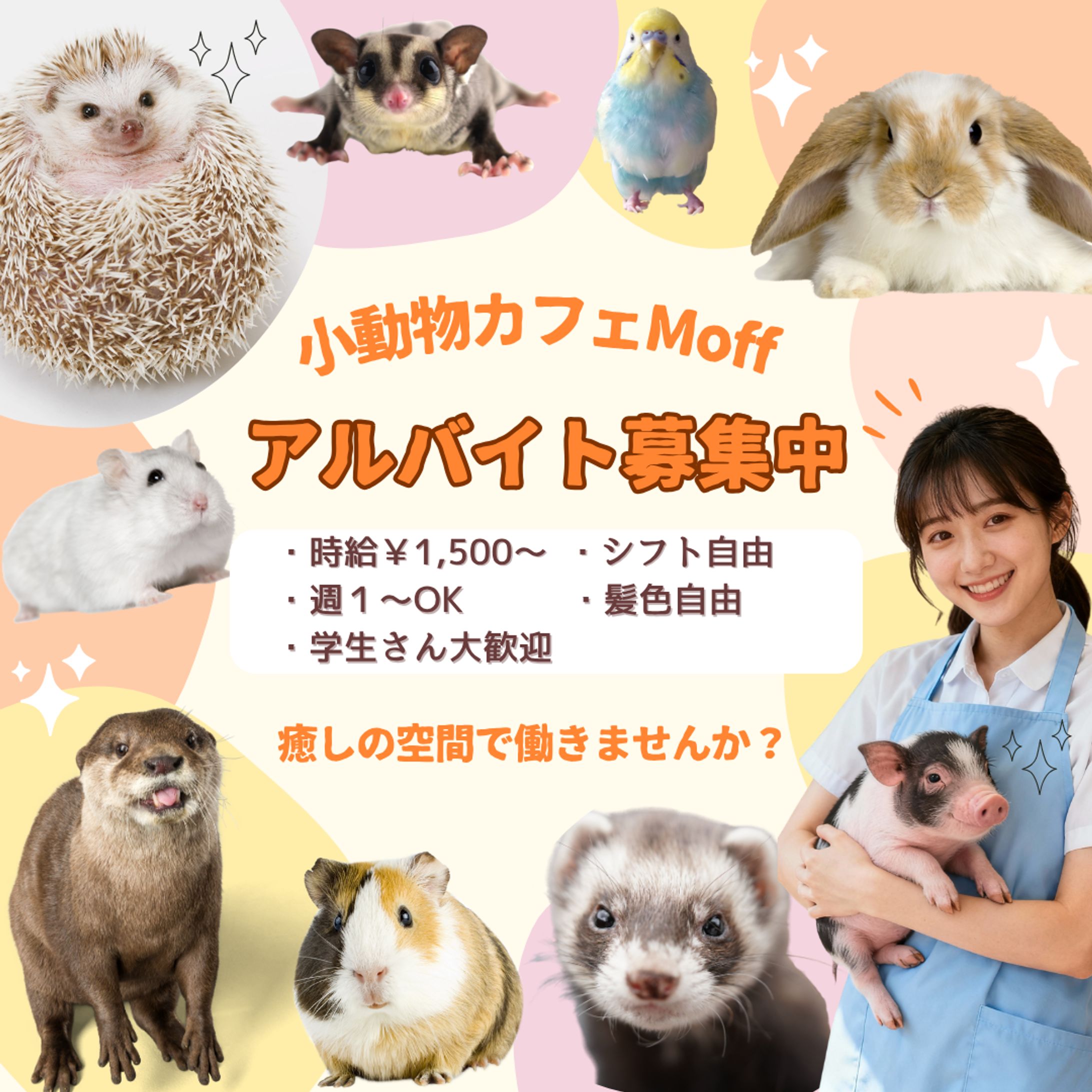 小動物カフェMoff　アルバイト募集バナー-1